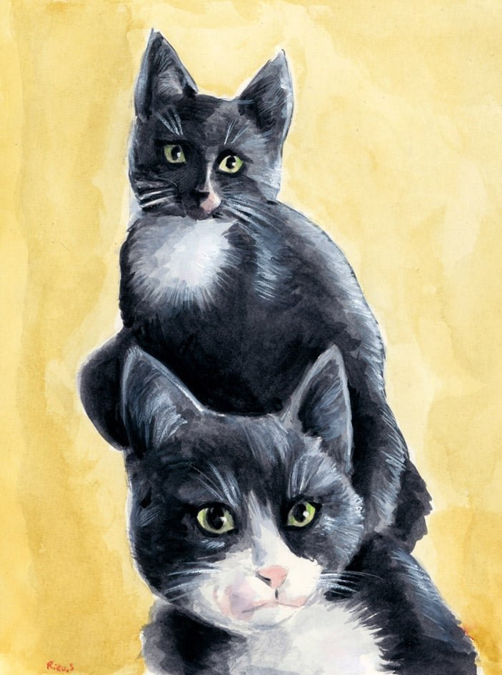 Cats Watercolor